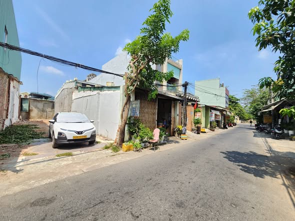 Mt 201 đồng kè